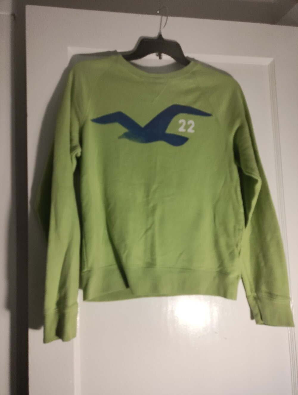 Hollister Men’s Large Green Logo 22 Crewneck Sweatshirt Pullover
